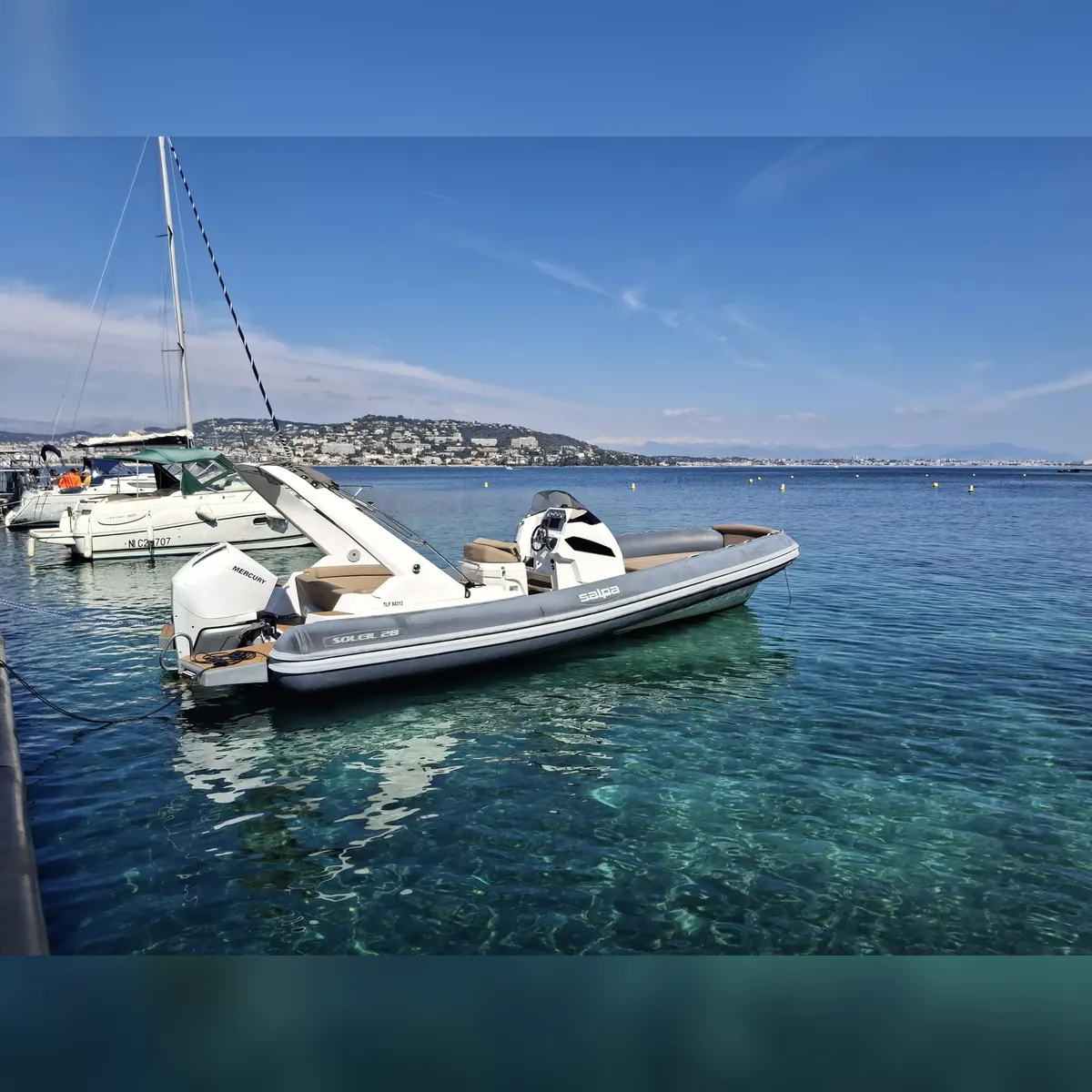 SALPA  28  Soleil